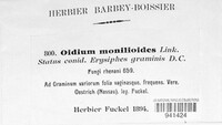 Blumeria graminis image